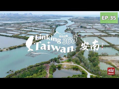 Linking 368 - 臺南安南