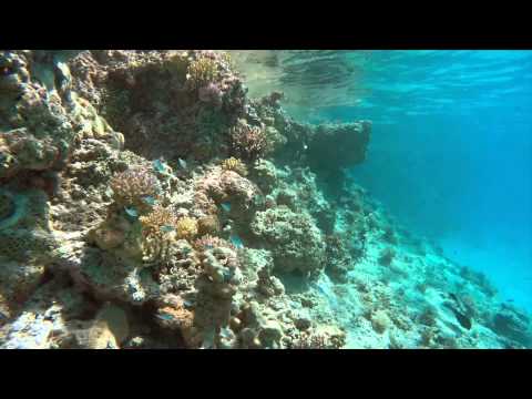 Tokelau Atafu Reefs