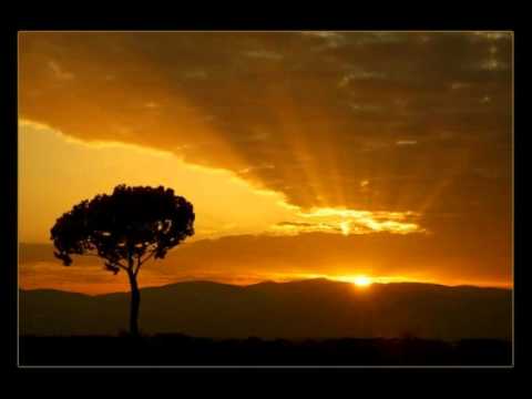 Hoxton Whores - Sunrise Remix