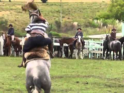 Criollas 3 Costas de Arias 2014