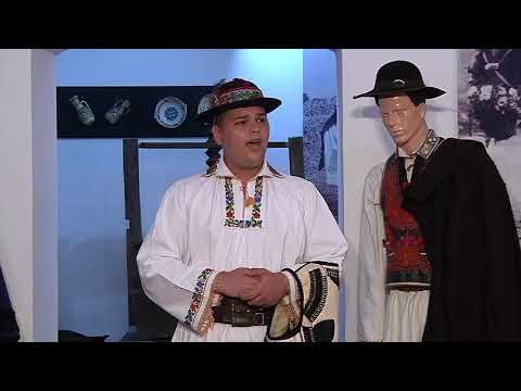 SILVIU AVRAM  - MĂICUȚĂ CU TREI FECIORI