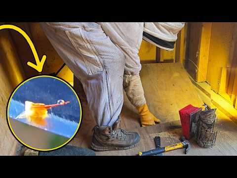 Angry Shed Bees Stung My FACE