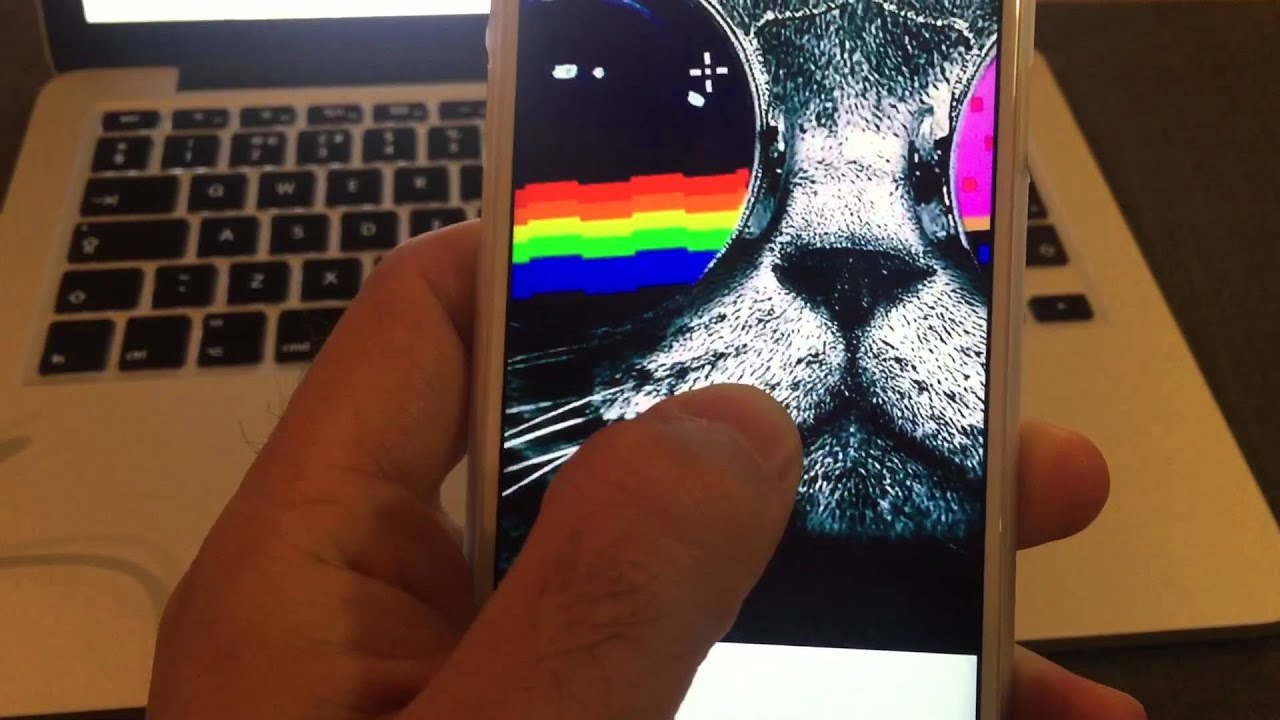 ��������� ����� �� ����� - ��� ������ ����