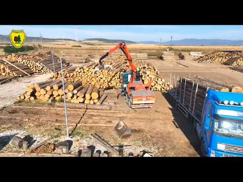 Depozitul de lemne al Ocolului Silvic Miercurea Sibiului din cadrul Romsilva