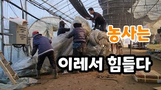 농사 이래서 힘들다