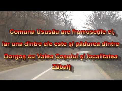 USUSĂU (Jud.Arad) - 2022