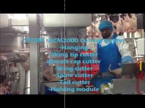download lagu mp3 mp4 Stork Chicken, download lagu Stork Chicken gratis, unduh video klip Stork Chicken