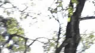 insane video anal of bike !!!