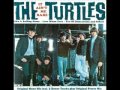 The Turtles - A Walk in the Sun 