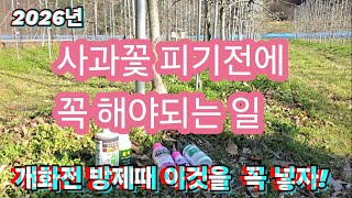 2026년 사과나무 개화전 방제를 잘하고 양분공급을 잘해서 병충해 예방및 대과를 생산하자