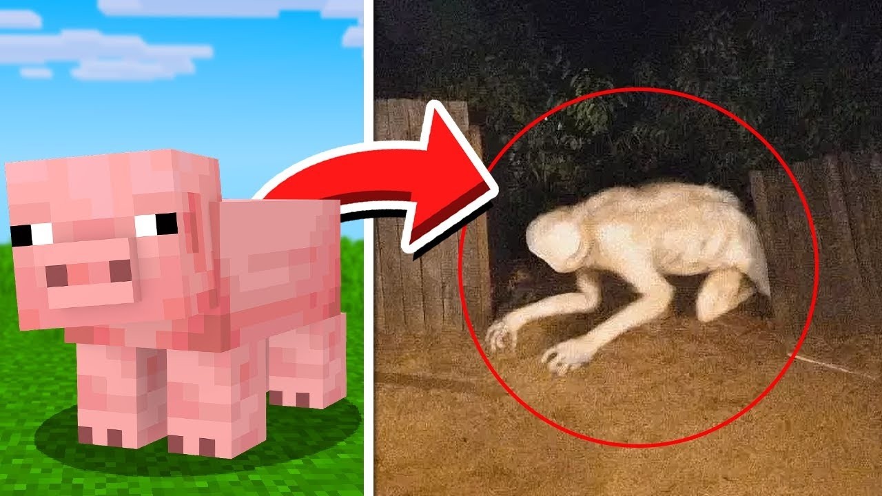 Mobs do Minecraft CAPTURADOS NA VIDA REAL