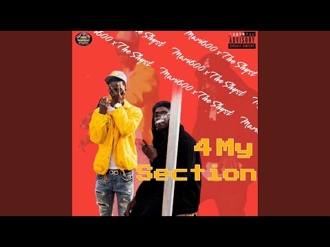 4 My Section