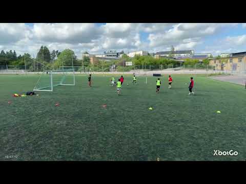 Procyon BK P13 Träning