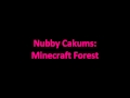 Nubby Cakums - Minecraft Forest (Song)