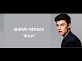 Roses Shawn Mendes