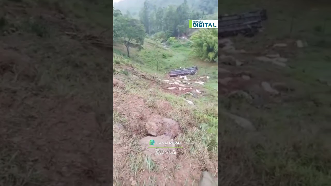 Caminhão com porcos despenca de ribanceira de 50 metros e motorista morre em Minas Gerais