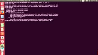 Reset Mysql password on Ubuntu