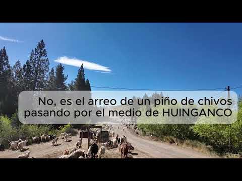 Arreo de un piño de chivos atravesando Huinganco - Diciembre 2025