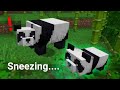 Baby Panda Sneezing 🐼..... (Minecraft VS Real Life)
