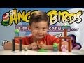 Angry Birds SPRING HAS SPRUNG Game Destroy The BUNNY PIG