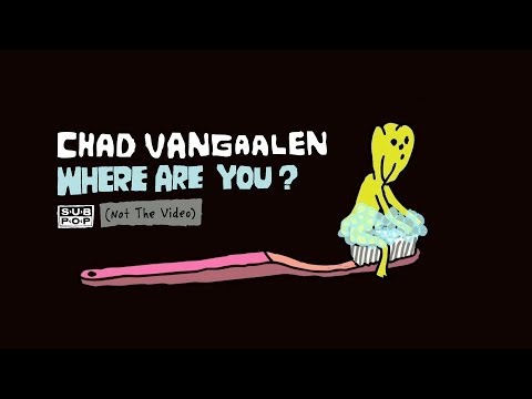 Chad VanGaalen - Where Are You?
