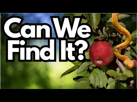 What's The Deal With Eden's Location?