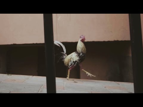 Delaossa ft. El Negro - El Callejón (Prod. J.Moods)