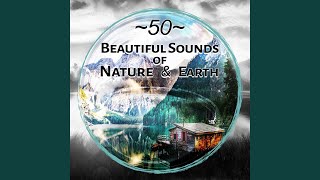 Deep Sleep Music: Flute, Fire & Singing Birds