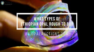 What types of Ethiopian Opal Rough to buy? | Opal Auctions