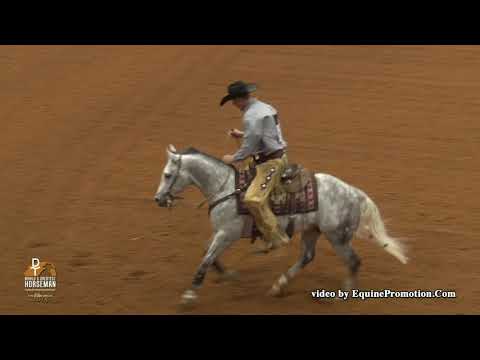 Dualin Stargun ridden by Justin Lawrence  - 2018 Celebration of Champions (WGH Rein Work, Prelims)