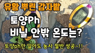 유황뿌린 감자밭 토양ph와 비닐안밖 온도는 토양ph측정은 농사에 중요합니다.