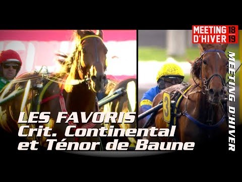 FAVORI du Critérium Continental et Ténor de Baune JEAN MICHEL BAZIRE