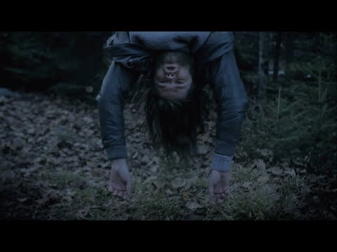 Le Husky - Chambre noire [Vidéoclip officiel]