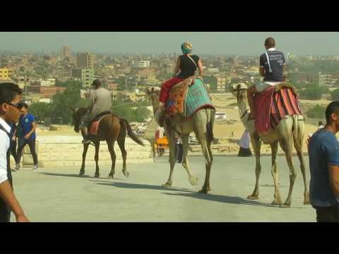 Egypt Cairo tourism city tour travel guide