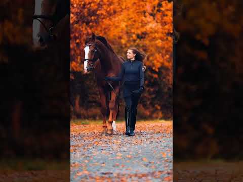 Samu und Inke im Herbst 🍂 #dressurpferd #herbstanfang #dressage #pferde