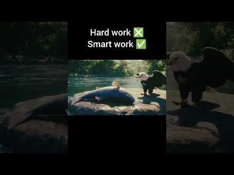 Focus on your goals #trending