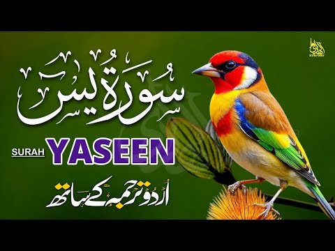 Surah Yaseen Urdu Tarjuma ke Sath | Peaceful Recitation | Episode - 610