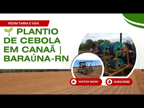 Esticando as Mangueiras para o Plantio de Cebola em Canaã | Vida na Roça em Baraúna-RN 🌱🚜