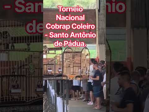 Torneio Nacional Cobrap Coleiro Santo Antônio de Pádua
