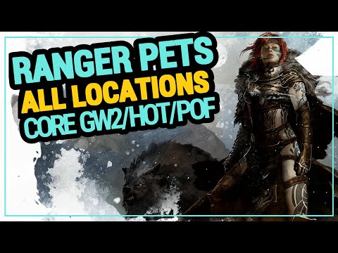 GW2 RANGER PET LOCATIONS - CORE Guild Wars 2 / HOT /POF