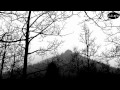 Gallowbraid - Oak and Aspen 