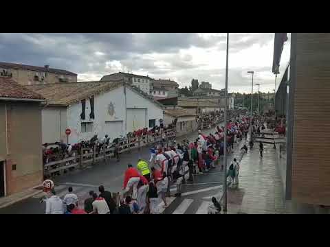 Espeluznante cogida en el encierro de Sangüesa