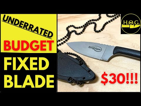 Cold Steel BIRD \u0026 GAME Budget Fixed Blade | Why Isn’t This Knife More Popular??