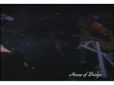 B&B The Sinking of The Shady Marlin