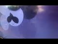 BabyfirstTV Exe