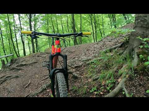 Rock machine blizzard 50 2017