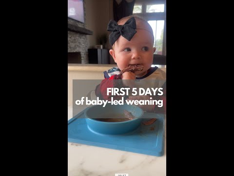 Dietitian’s First 5 Days of BLW