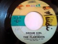 FLAMINGOS - DREAM GIRL - END 1092