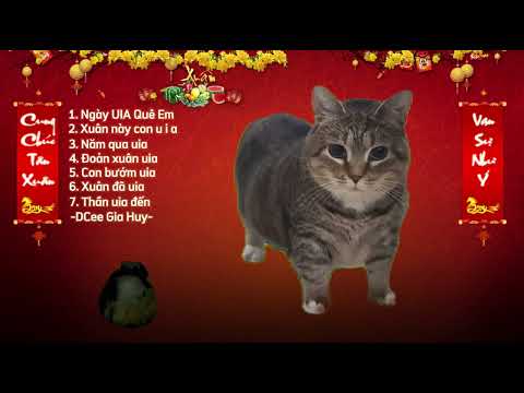 Tuyển tập Nhạc Tết UIA 2025 mở lên cả làng cùng uia by DCee Gia Huy