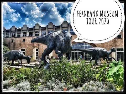 FERNBANK MUSEUM TOUR 2020 #atlanta#dinosaurs